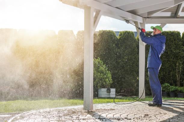 Trusted Pistakee Highlands, IL Pressure Washing Services Experts